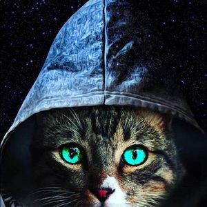 Meet your Posher, Nelson